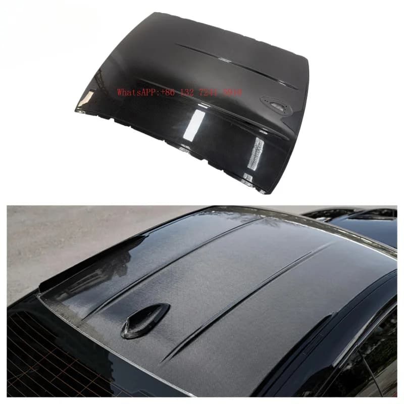 Dry Carbon Fiber Roof Pal Exterior Replacement