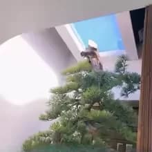 Blue Smart Home Skylight WiFi Control Natural Daylight Panel Home Automation Artificial Skylight for Indoor Lighting