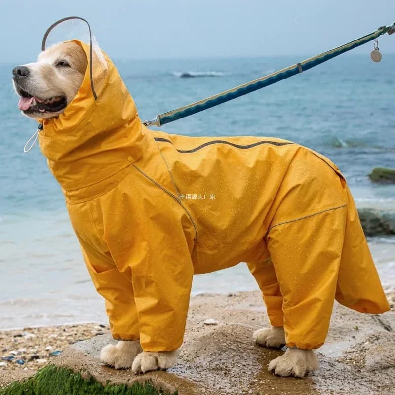 Medium and large dog all-inclusive raincoat with hooded bag tail rain gear