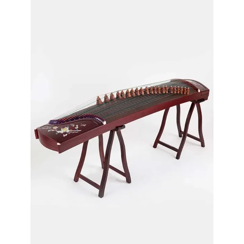 Guzheng, National Color Tianxiang Qin Beginner Professional Level Exam