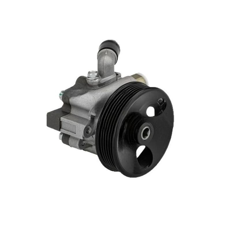96837812 96985600 Automotive Power Steering Pump Power Steering Pump