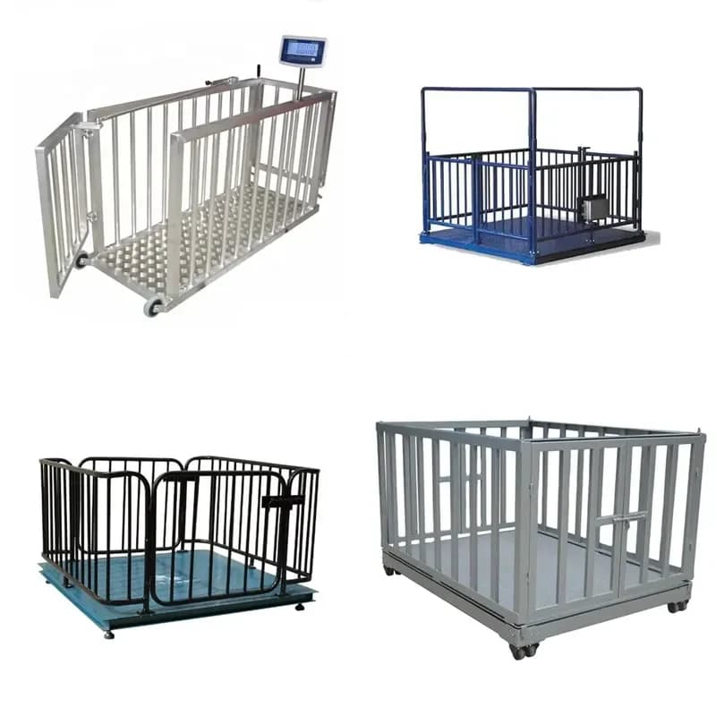 SFW Certificate Weighing Scale Cattle 1000kg Pig Sheep Cow 2 Ton Animal Livestock Scale Goat 3000kg Industrial Floor Bench