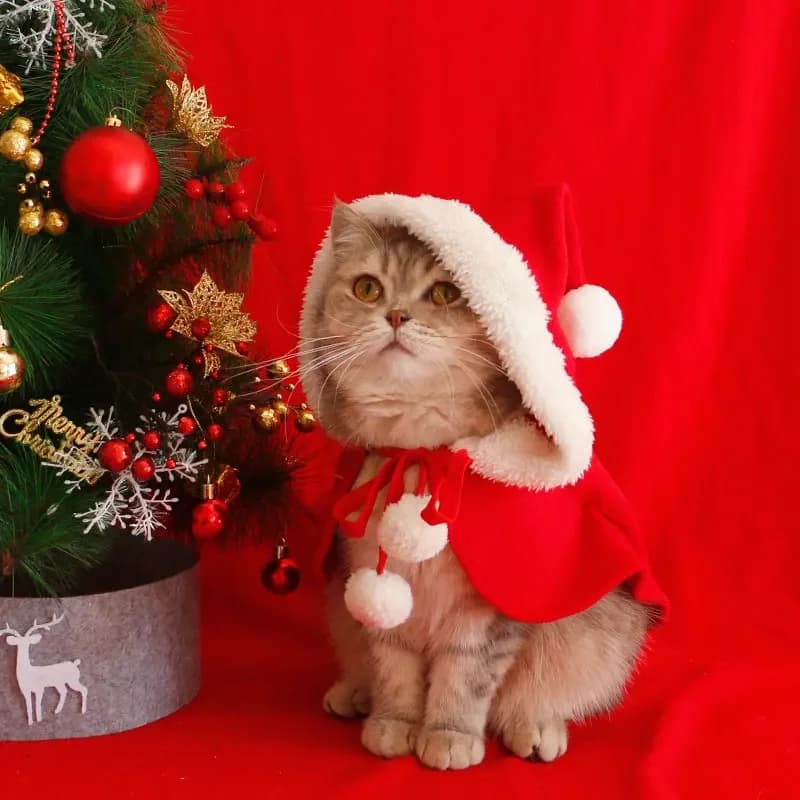 Cat dog christmas cape cape winter warm shawl nightgown cute pet new year funny clothes photo