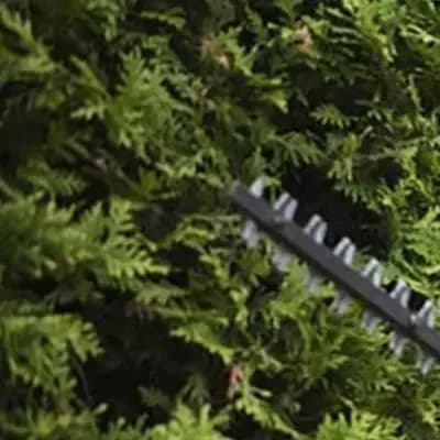 High for impact ABS Material Ensures the Durability of this SPOOL COVER for BOSCH EASYGRASS CUT 18230/1826/18260/23/26