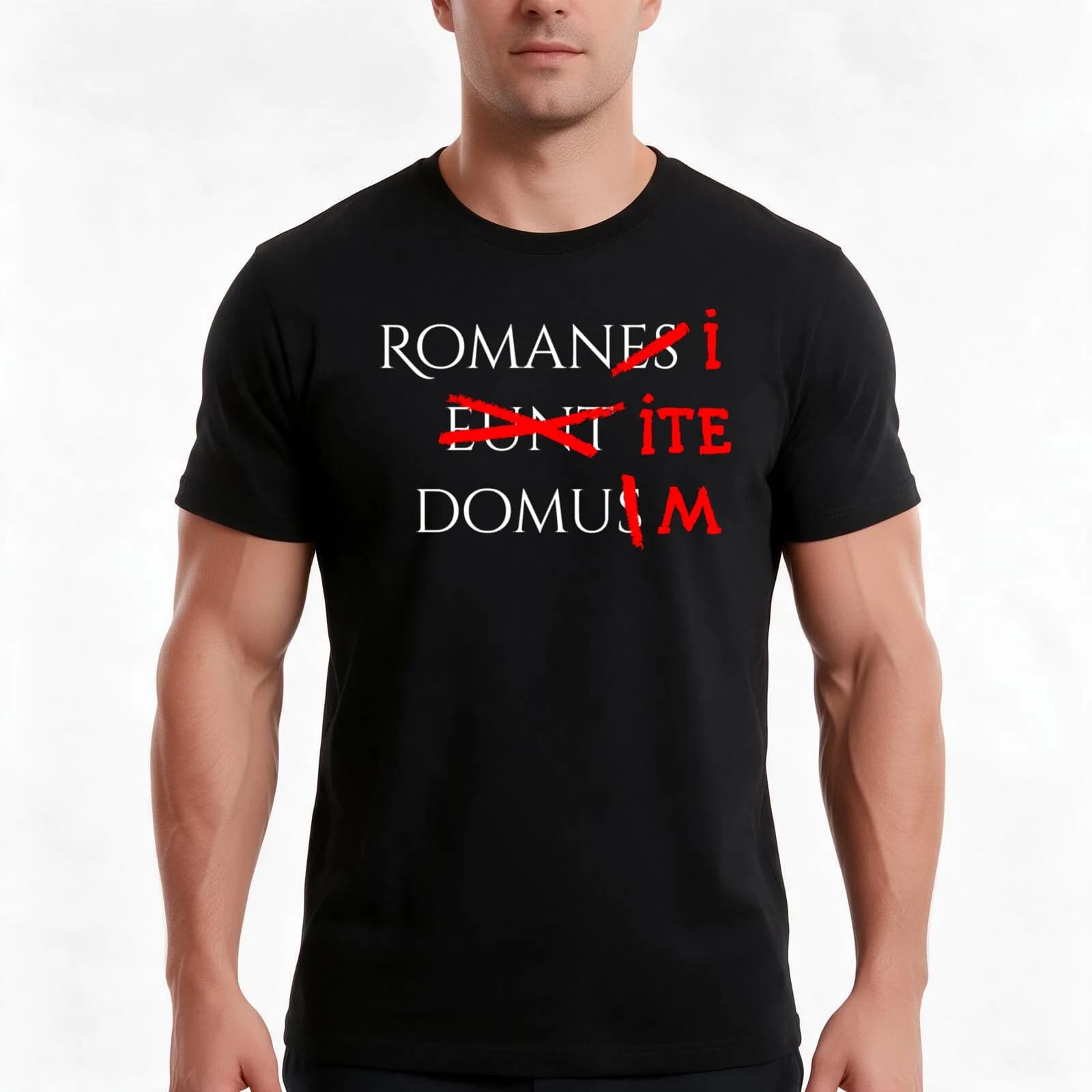 Romans go home (white) T-Shirt, Summer Casual Cotton Tee, Oversized Streetwear Tops, Vintage Graphic Print, Unisex Men Women