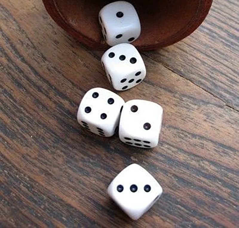 Printed dice 16mm20mm six-sided white dice
