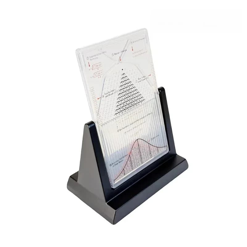 Model Ornament Mathematics Teaching Aids GaltonBoard Normal Distribution Model Toy