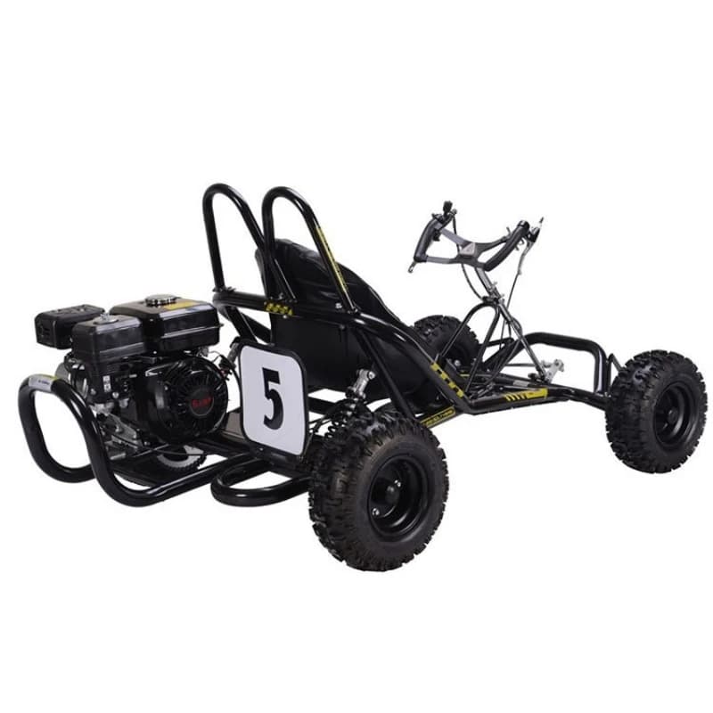 Kart 196cc Engine Mountain Kart Fuel Power Recreational Kart