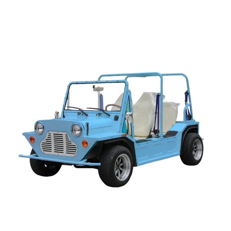 Electric four-wheeler sightseeing car