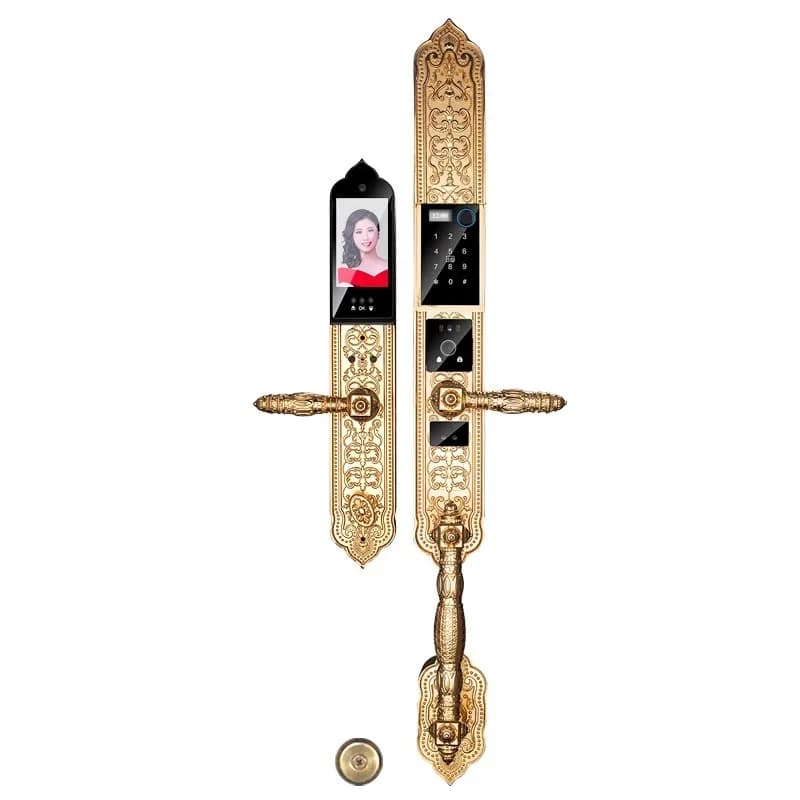 local tyrant gold European-style villa face fingerprint electronic lock home double door home anti-theft door smart lock