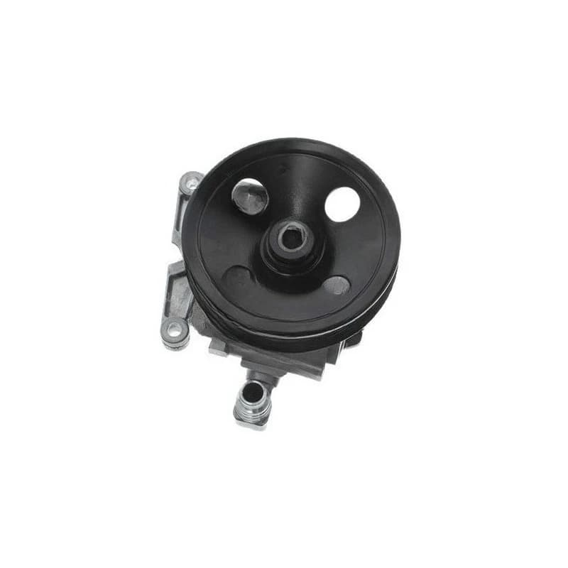 0044661401 0034666001 Auto parts power steering pump