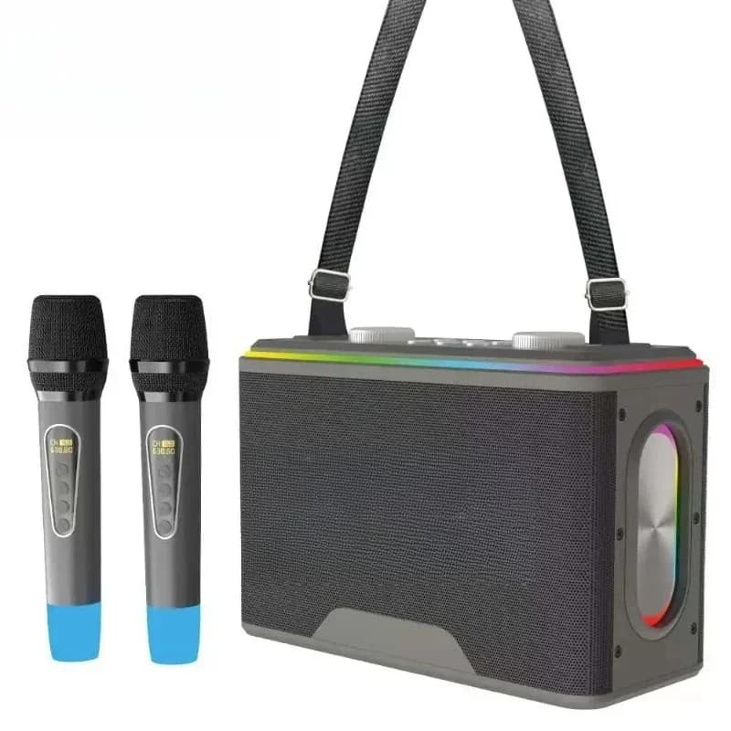 Professional speaker accessories with dual microphone party karaoke subwoofer