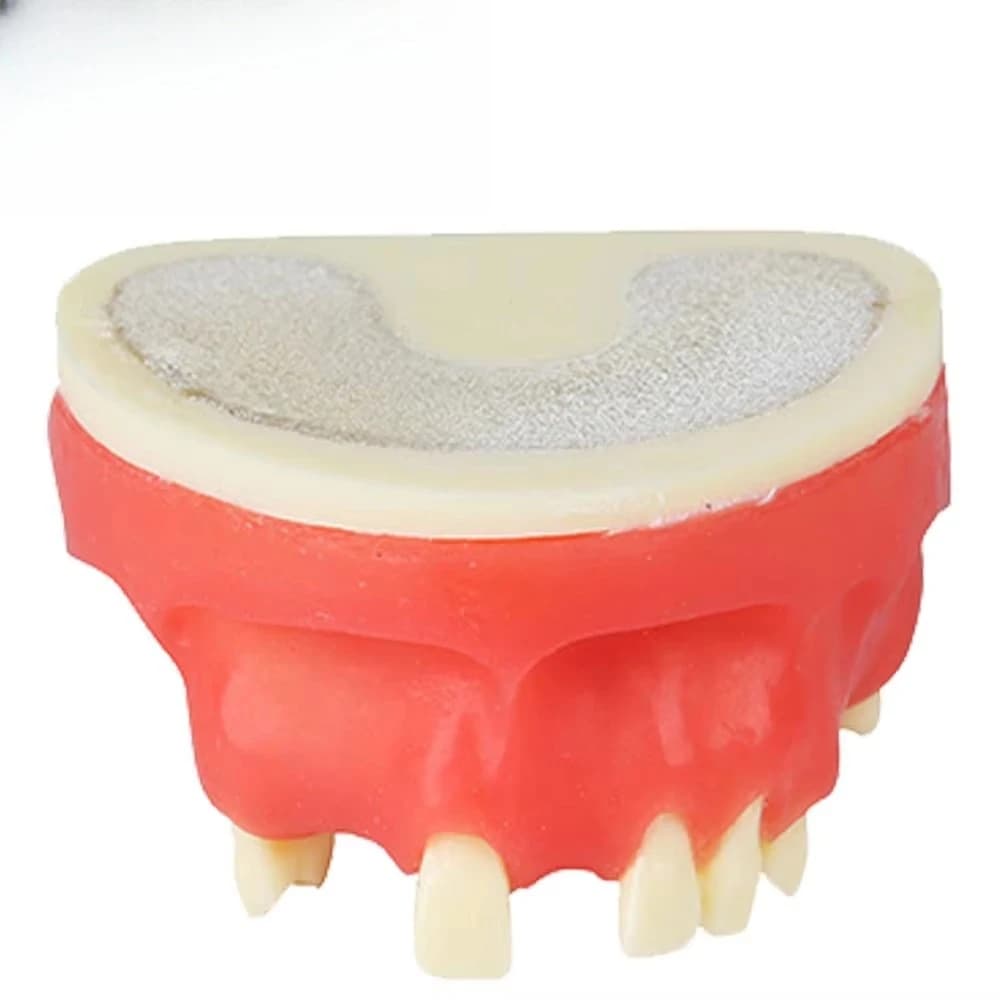 Dentals Implants Practice Model Upper Jaw Teeth Model for DentalS Students Teaching Training