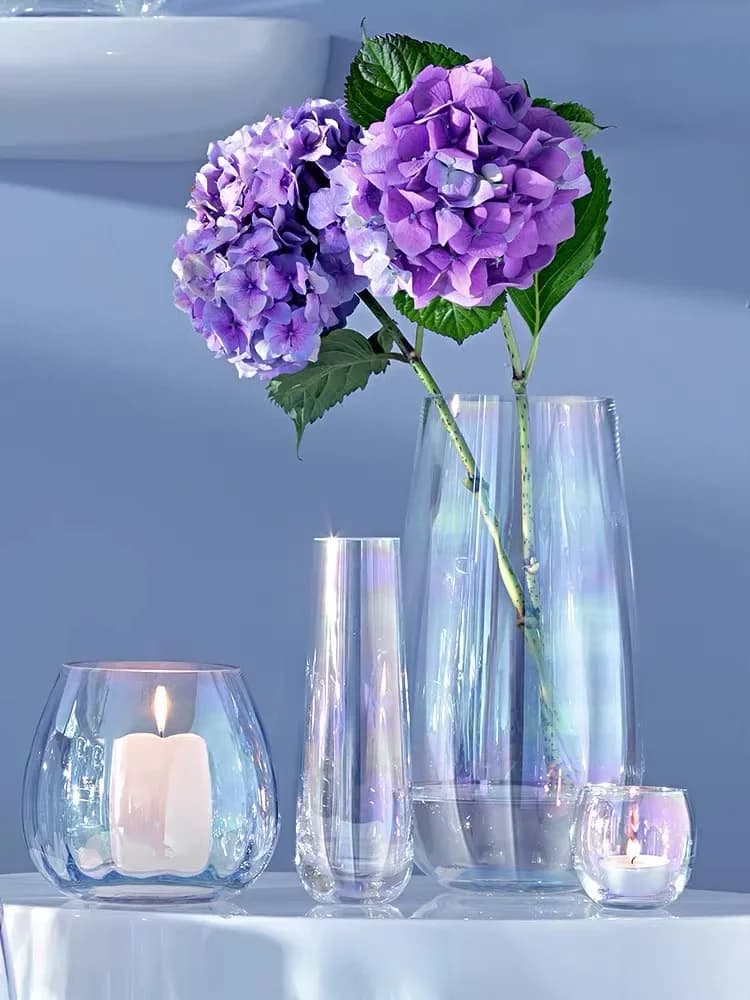 Nordic Glass Vase Ins Style Creative Dektop Home Decor Transparent Dried Flower Arrangement Vases Simple Living Room Decoration