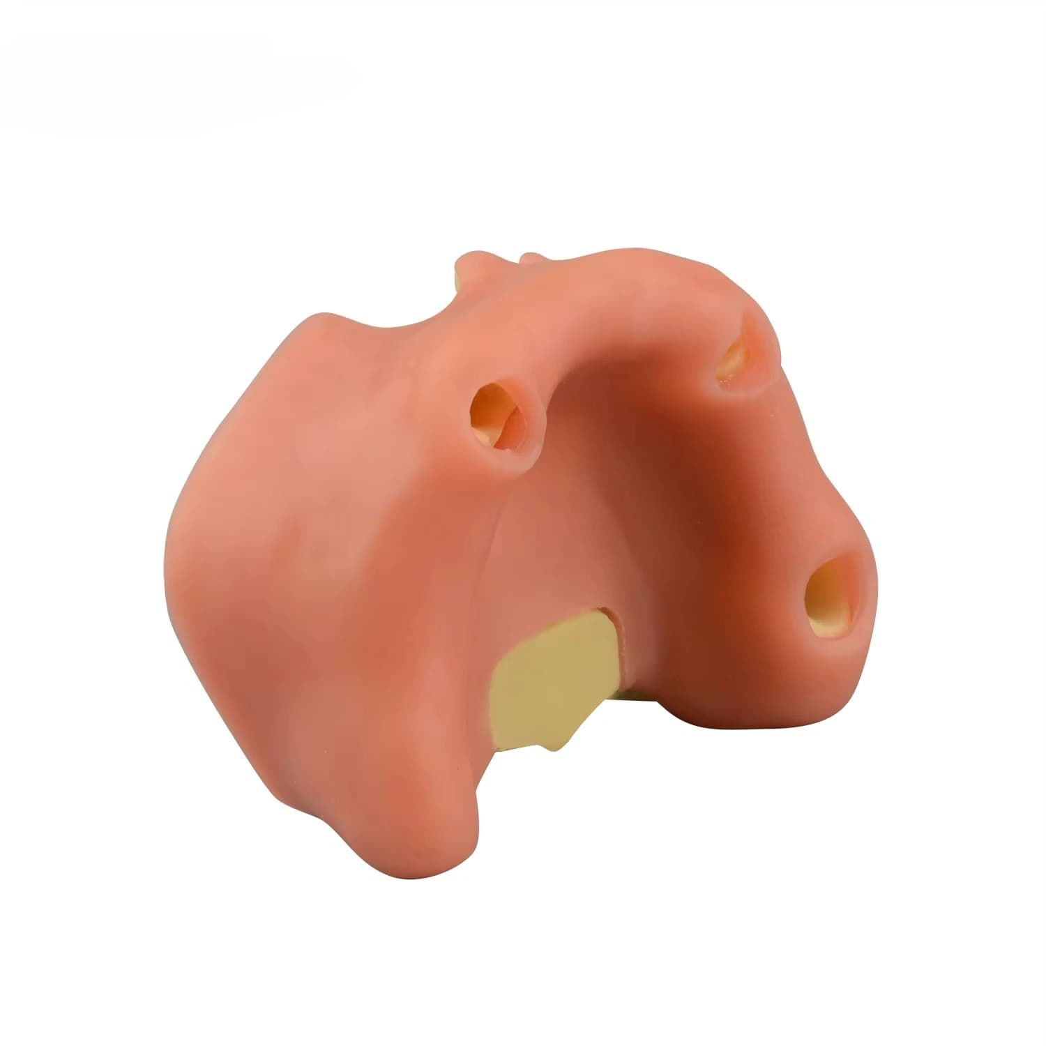Maxillary Sinus Lift Dentals Implants Practice Mode