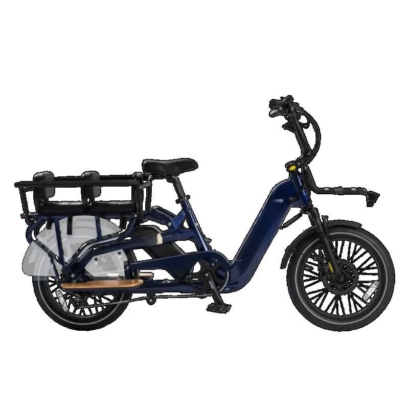 Long Tail Cargo Double Battery Alloy Electric Cargo Bicycle Bicycle Two Wheel Cargo