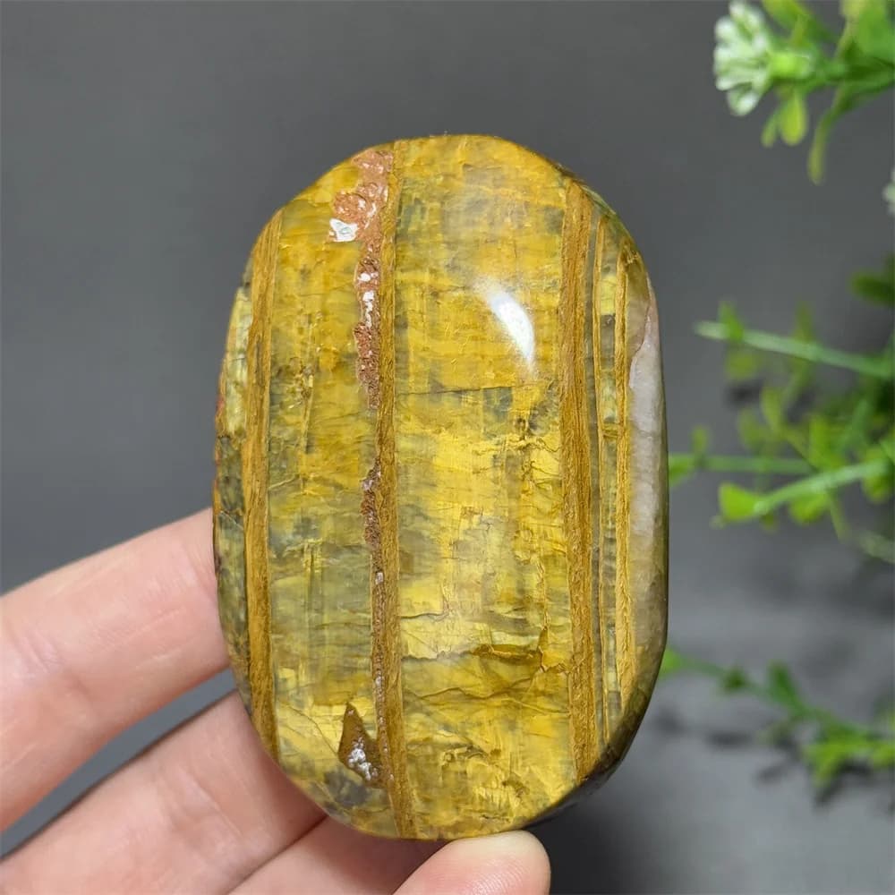 Natural Peter Stone Palm Moriginal Stone Specimen Ttreatment Meditation Collection Energy Massage Home Decoration Gift