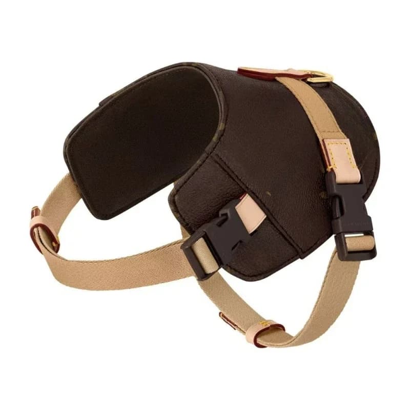 Fashionable dressing clothes vest leash pet