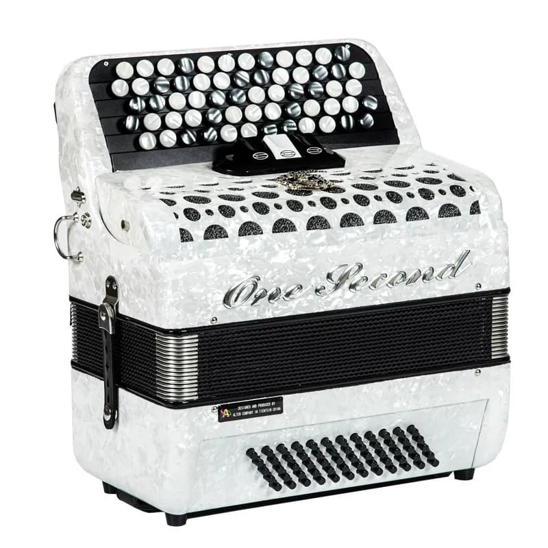 Young accordion adult 120 bass 96 bass 60 bass y
