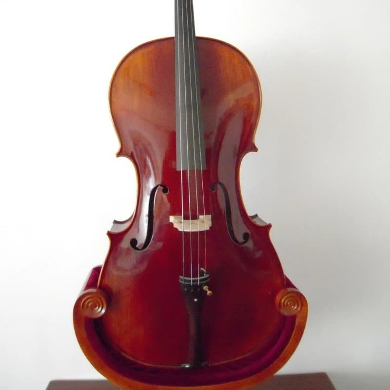 High-quality handmade solid wood cello, musical instrument, playing big