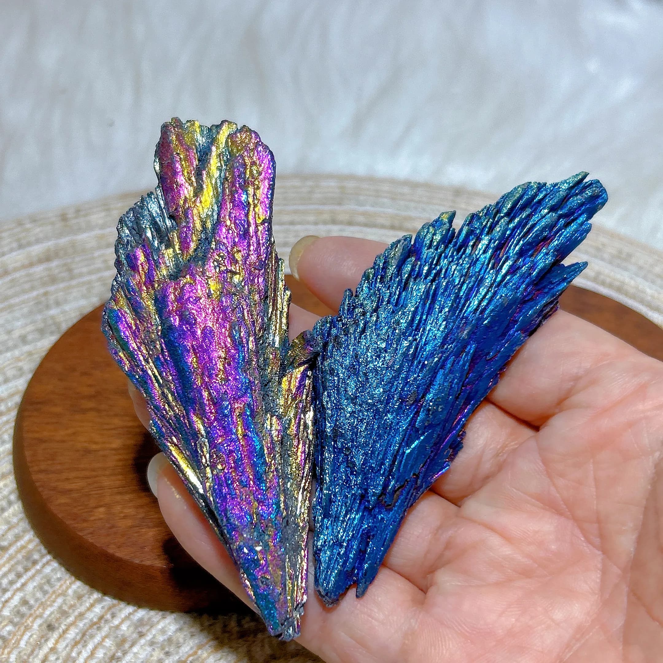 Natural Crystal Aura Black Tourmaline Feather Raw Stone High Quality Specimen Gemstone Healing Stones Home Decoration Gift
