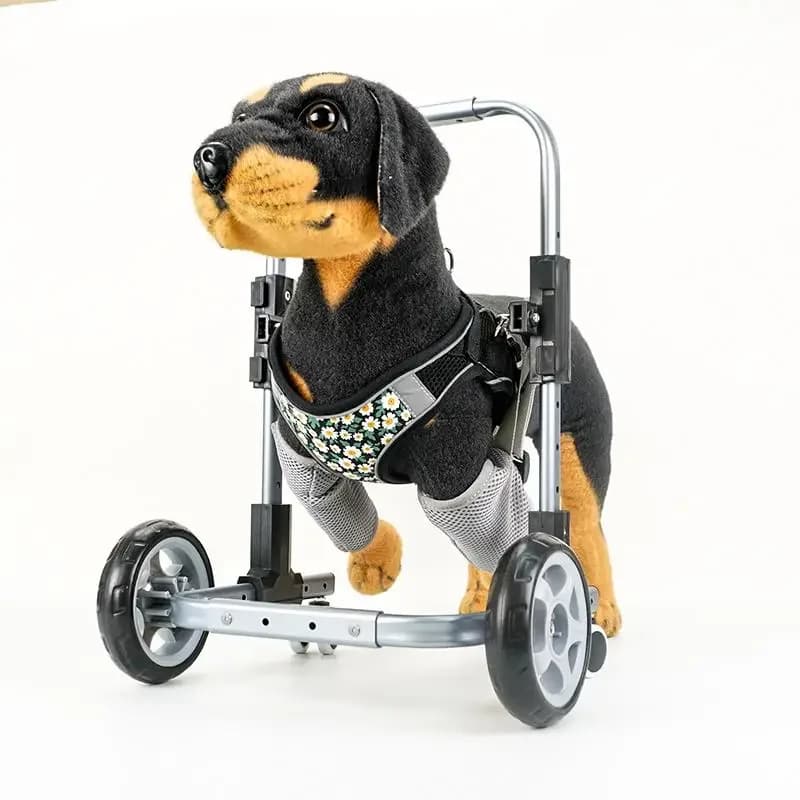 Pet forelimb chair dog disability walker foreleg stand bracket walker