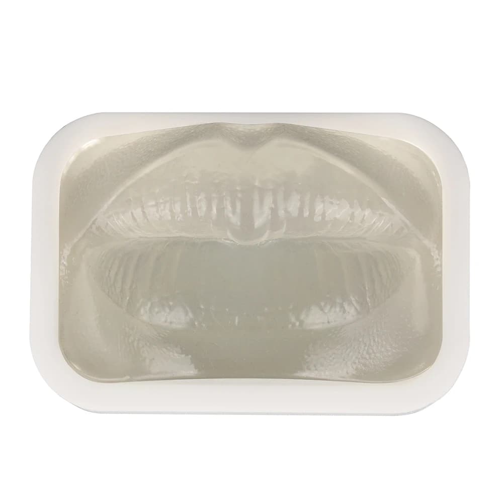 Transparent Injection Training Lip Model, Thread Facelift Lip Model for Micro-Plastic Teaching