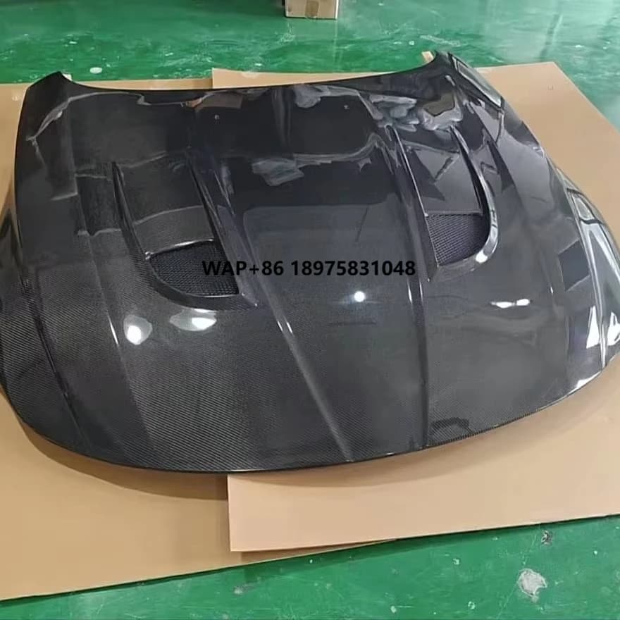 E89 Z4 carbon fiber hood