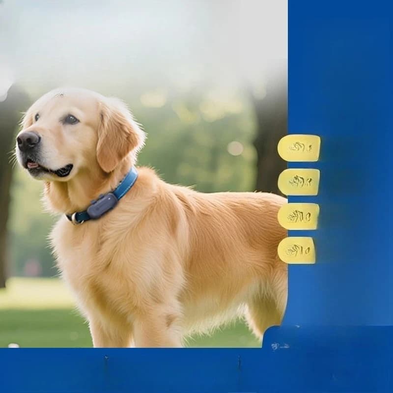 Dog anti-lost locator Cat anti-lost tracking Remote call collar