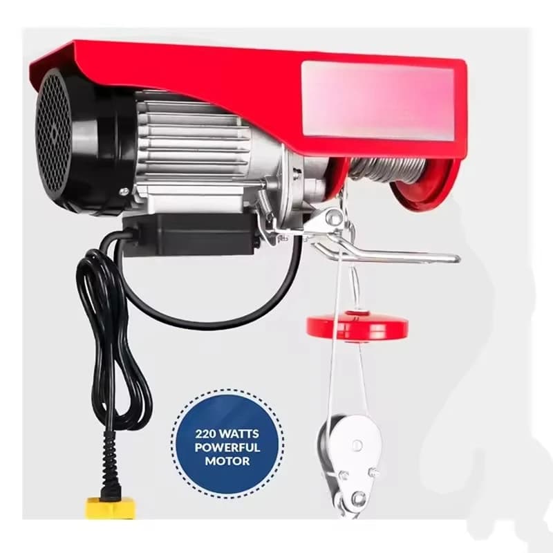 200kg 300kg 500kg 800kg 1200kg 1500kg Mini Electric Hoist with Advanced Brake System for Industrial Use