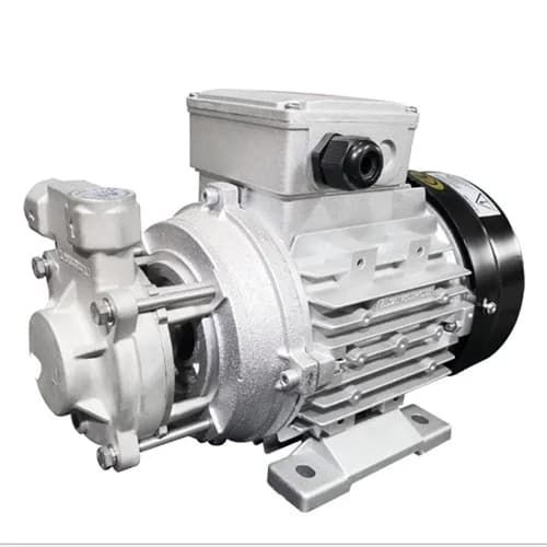 Vacuum Oil Pump Manufacturing Gear Oil Pump Burner Parts