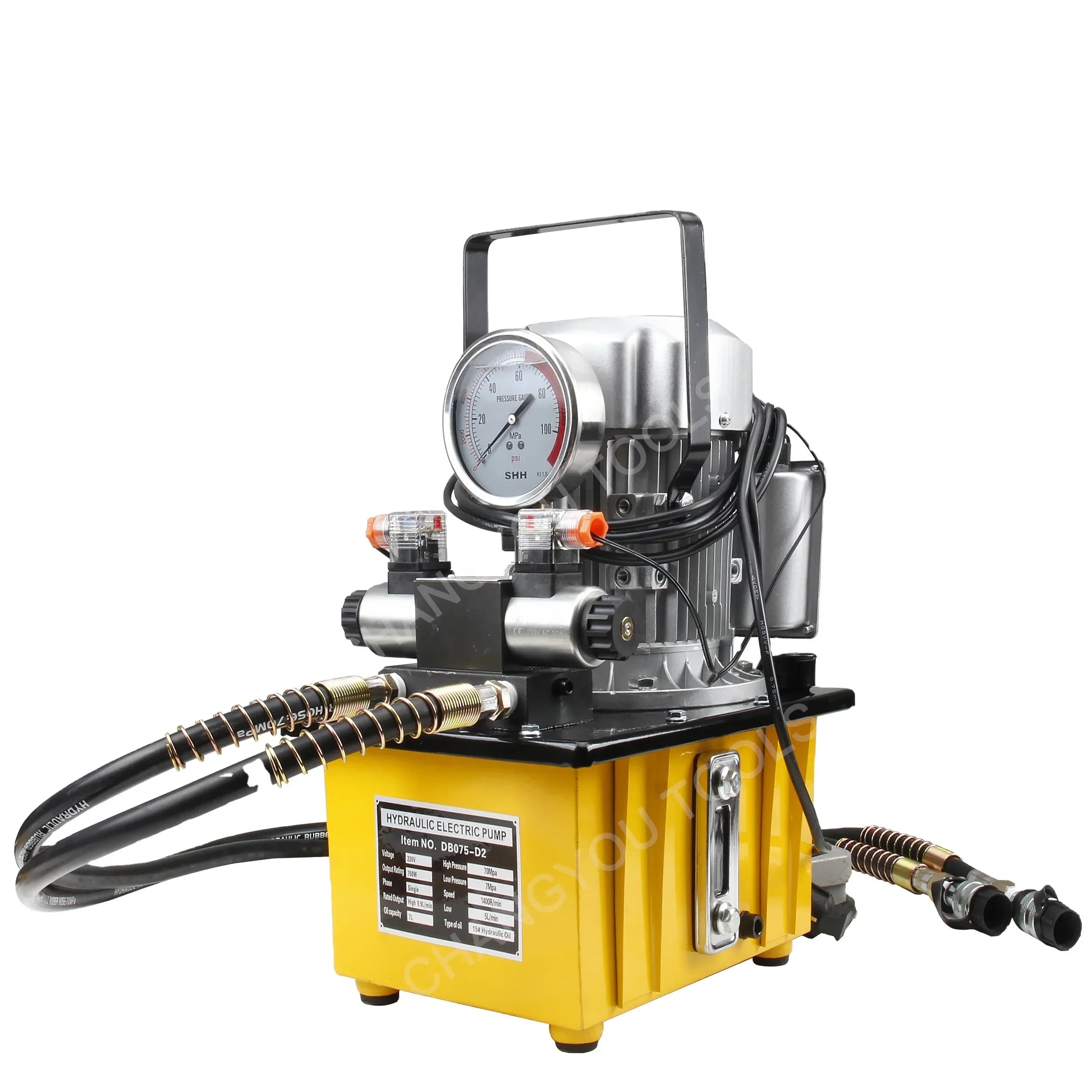 DB075-D2 Electric Hydraulic Oil Pump 700bar Double-Action Pedal Switch Control Piston Pump Structure For Automotive Industry OEM