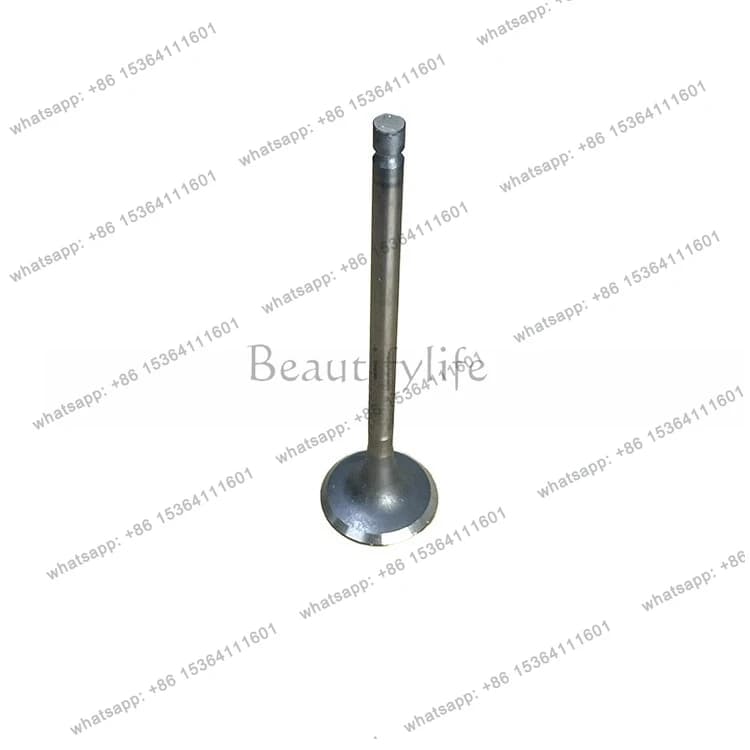 Valve MD306183 1011A535 MD301193 1010A655 for