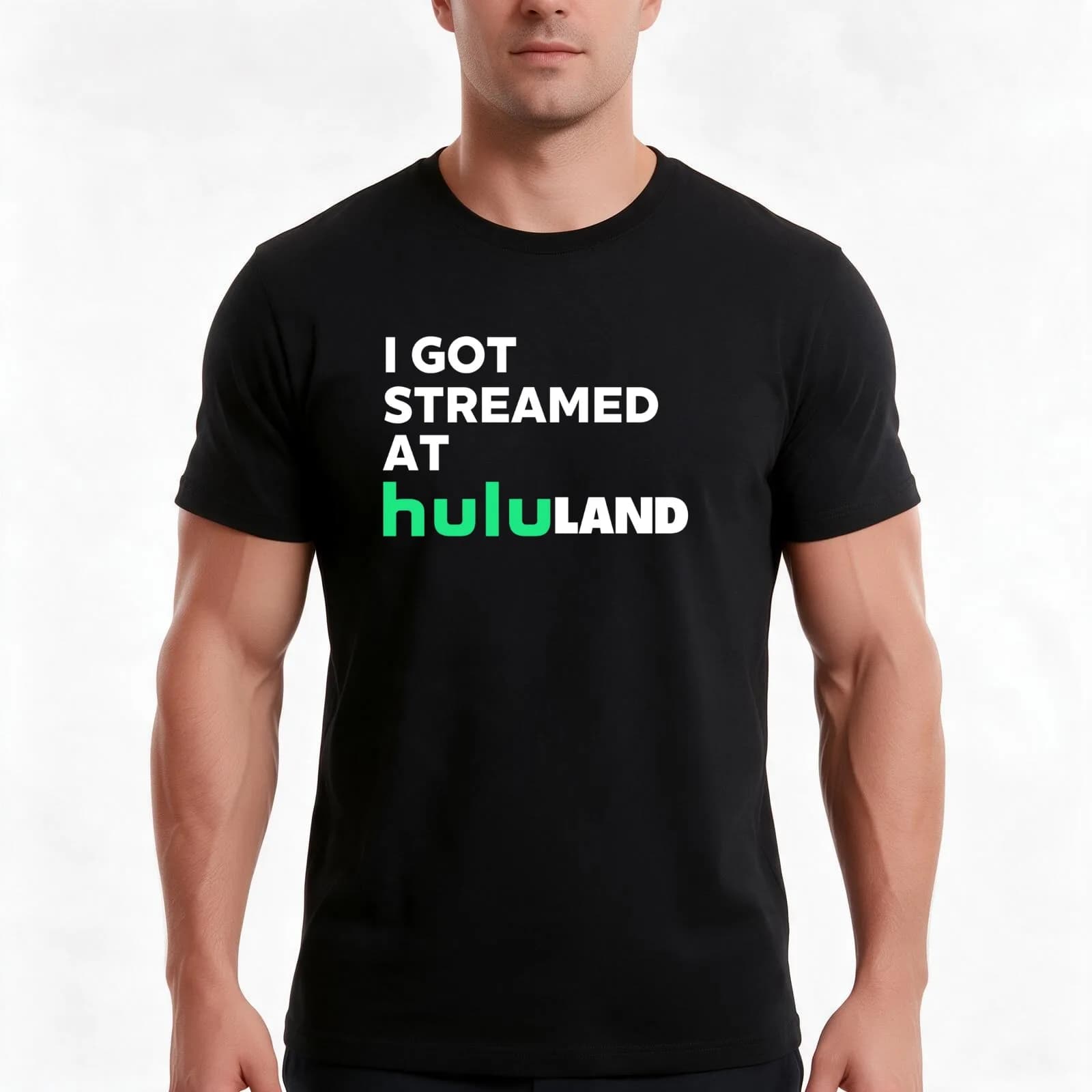 I got streamed at hululand T-Shirt, Summer Casual Cotton Tee, Oversized Streetwear Tops, Vintage Graphic Print, Unisex Men Women