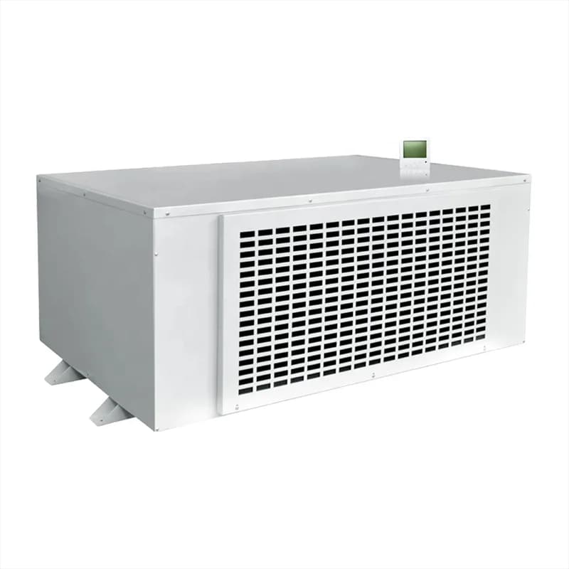 480L/D Ceiling Mounted Dehumidifier Thailand  Greenhouse Indoor Swimming Pool Ceiling Dehumidifier for Industrial