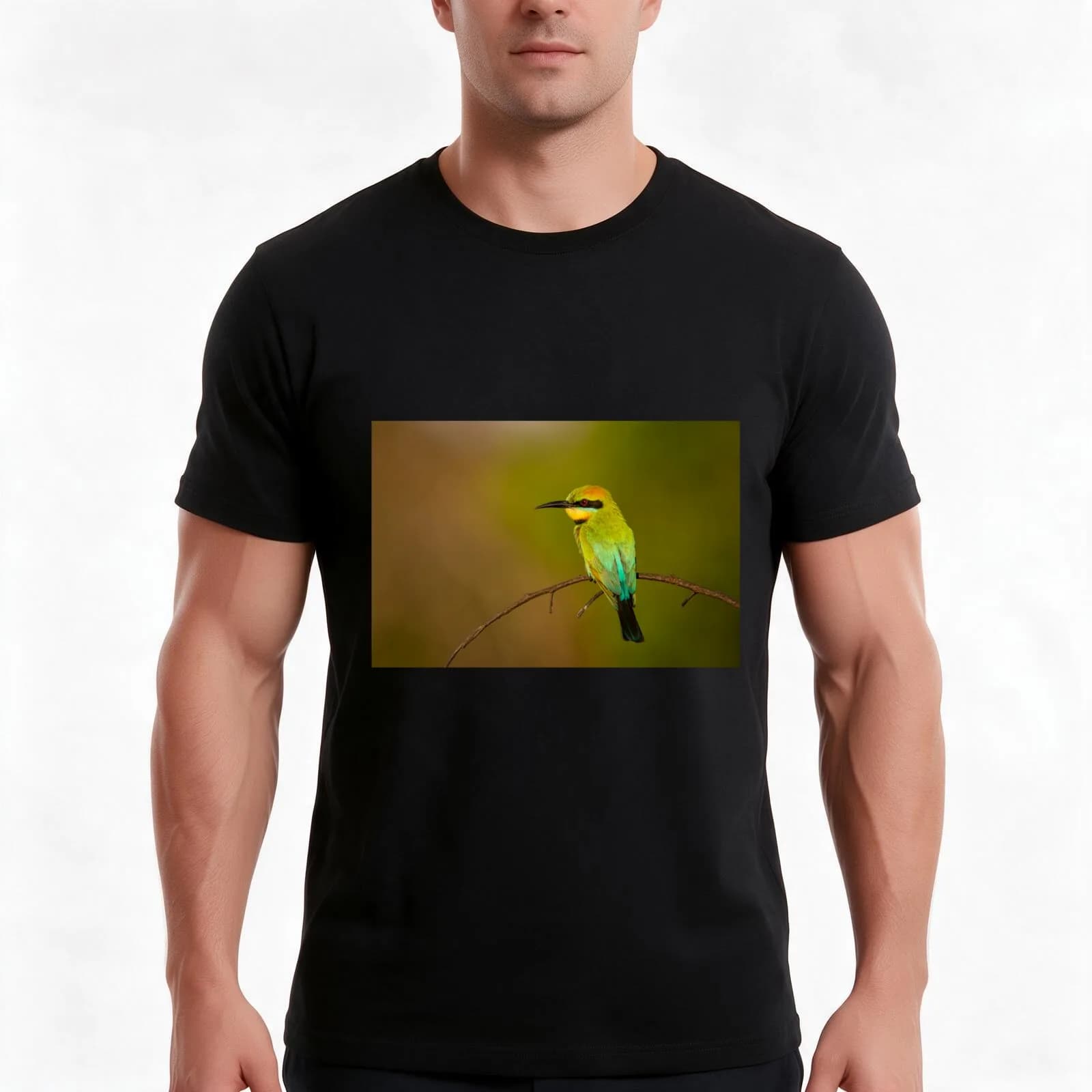Rainbow Bee Eater, Northern Territory T-Shirt, Summer Casual Cotton Tee, Oversized Streetwear Tops, Vintage Graphic Print