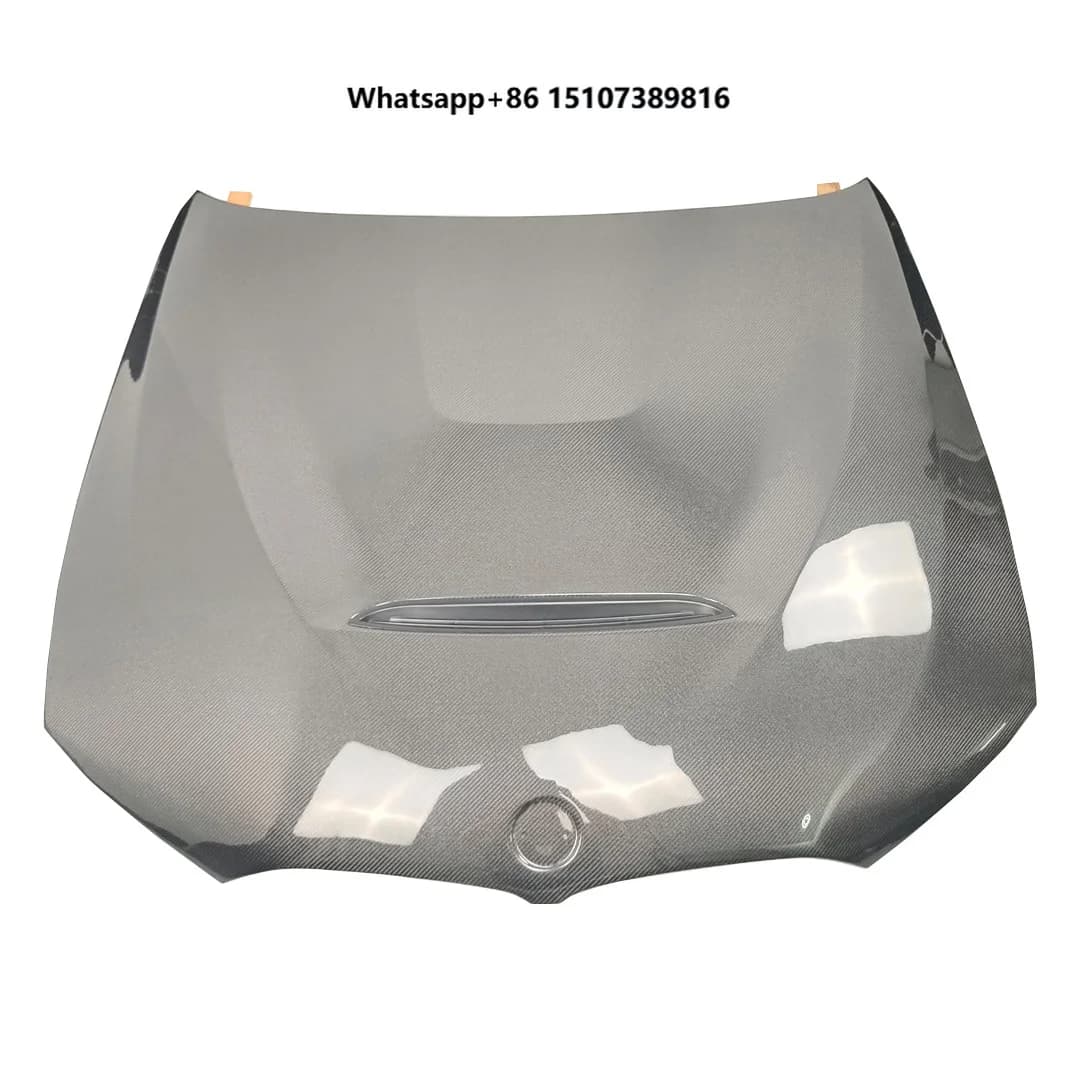 Gts Style G20 Carbon Fiber Hood for 3 Series 2019-2023