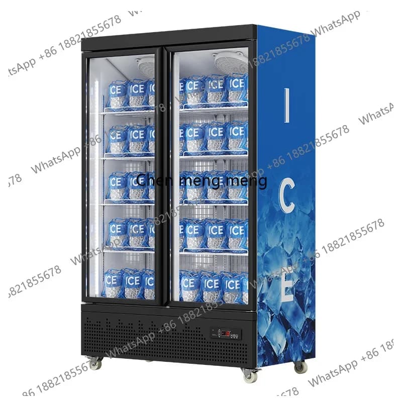 Double Door Refrigerated Display Ice Storage Upright Freezer Commercial Refrigerator Ice Block Freezer
