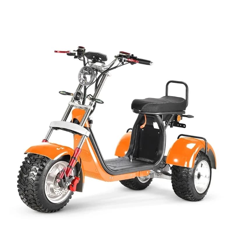 3 wheel electric scooter citycoco bike