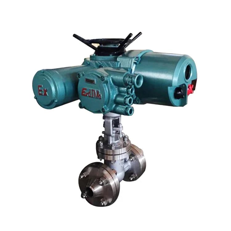 ZB941W-10 Z9B44W-10 Z9B45W-10 Flame-proof Flange Connection Motor Drive Gate Valve