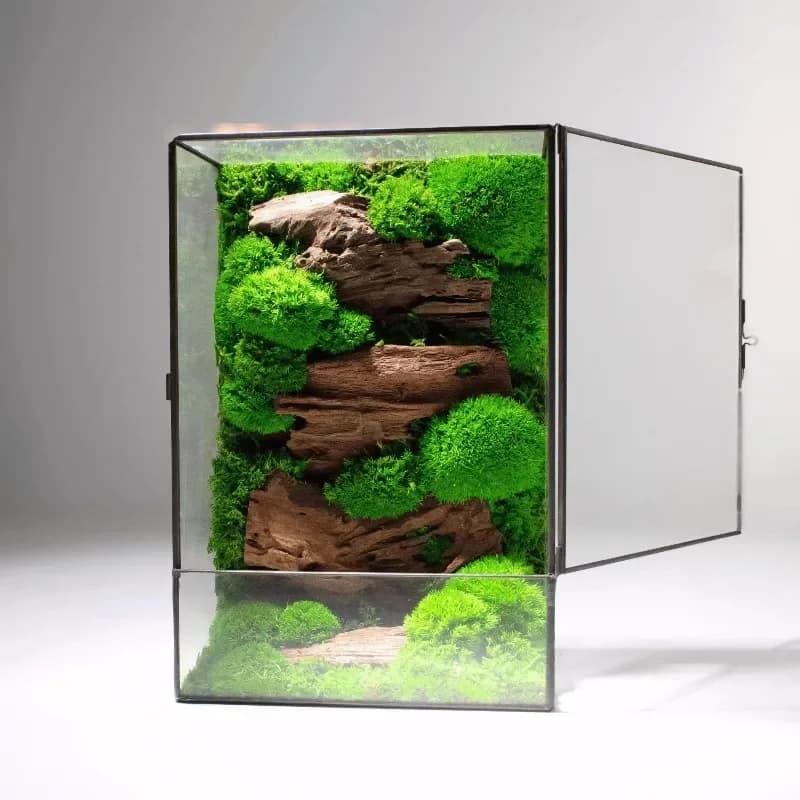 Aquarium Glass Container Decoration Plant Glass Container Naturally Preserved Moss Container for Tabletop Home Decoration