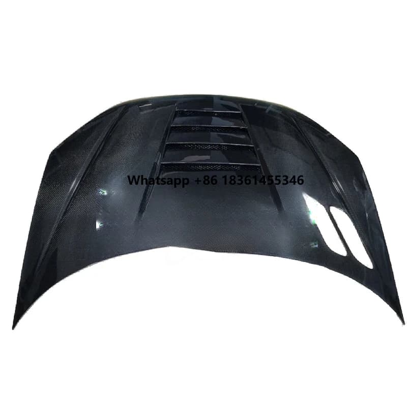 ustomized Shark Style Open Hole Carbon Fiber Hood 206