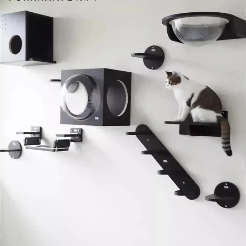 Wall mounted space capsule cat climbing frame wall jumping platform
