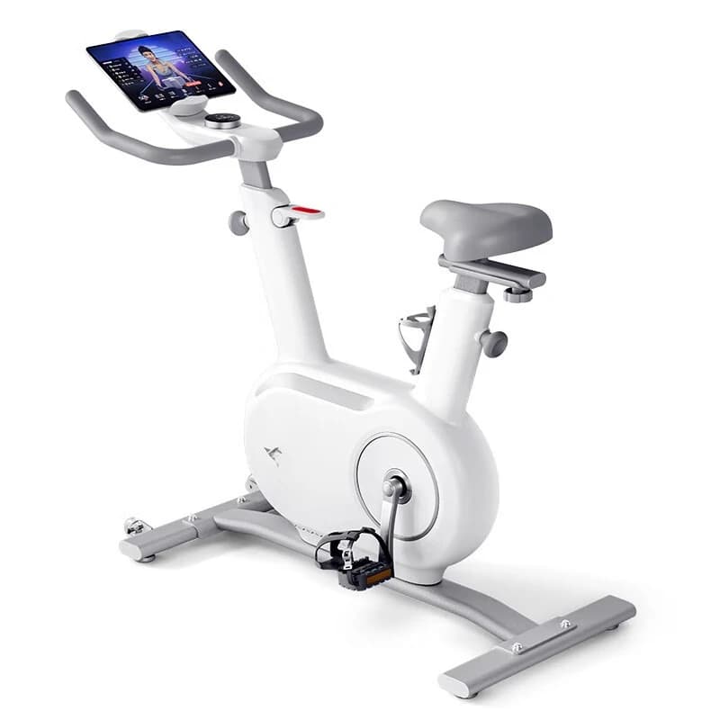 Smart home spinning bike, indoor magnetic control silent sports exercise bike