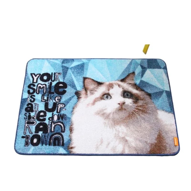 Outdoor living room/kitchen/bathroom/hotel entrance welcome pattern non-slip doormat dog/cat absorbent carpet