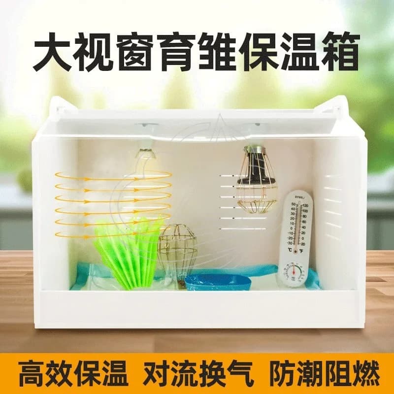 Wholesale Brooder Box for Chicks & Quails, Warm Breeding Box for Poultry & Reptiles