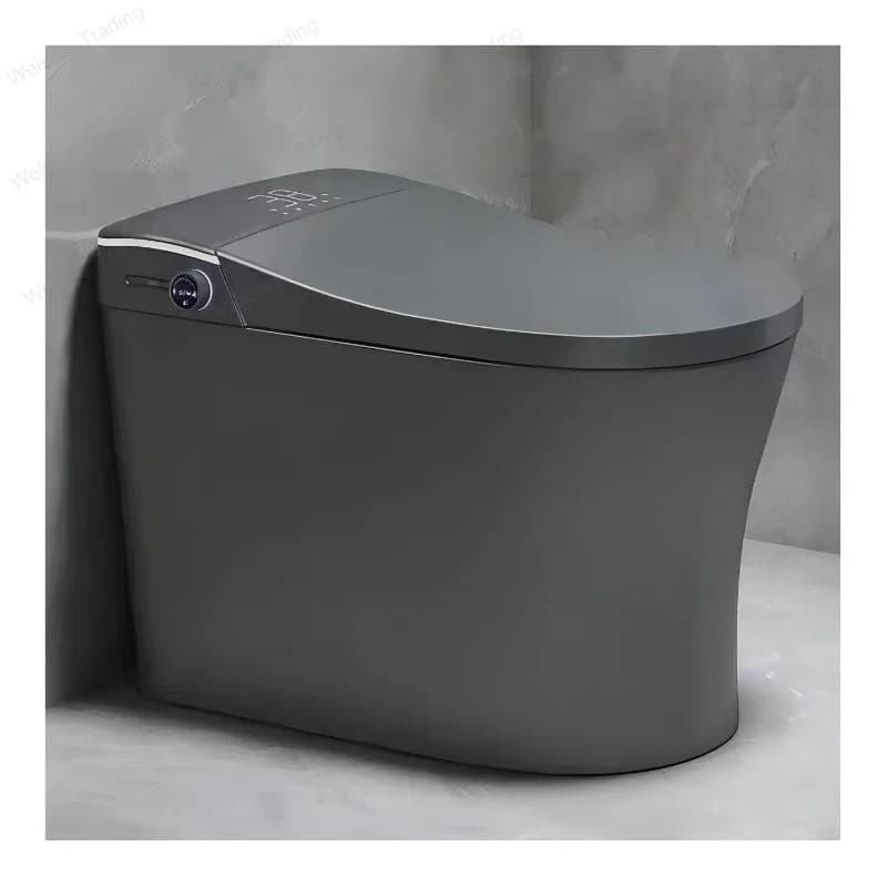 Hotel Bathroom Sanitary Wares Intelligent Grey Ceramic Toilet Bowl Automatic WC Commode Smart Toilet