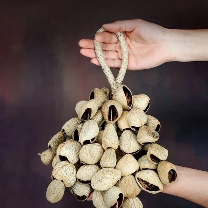 Handheld Shell Rattle Bells Seed Pod Wind Chime Percussion Instrument Soothing Sound For Meditation And Yoga Home Decor Display