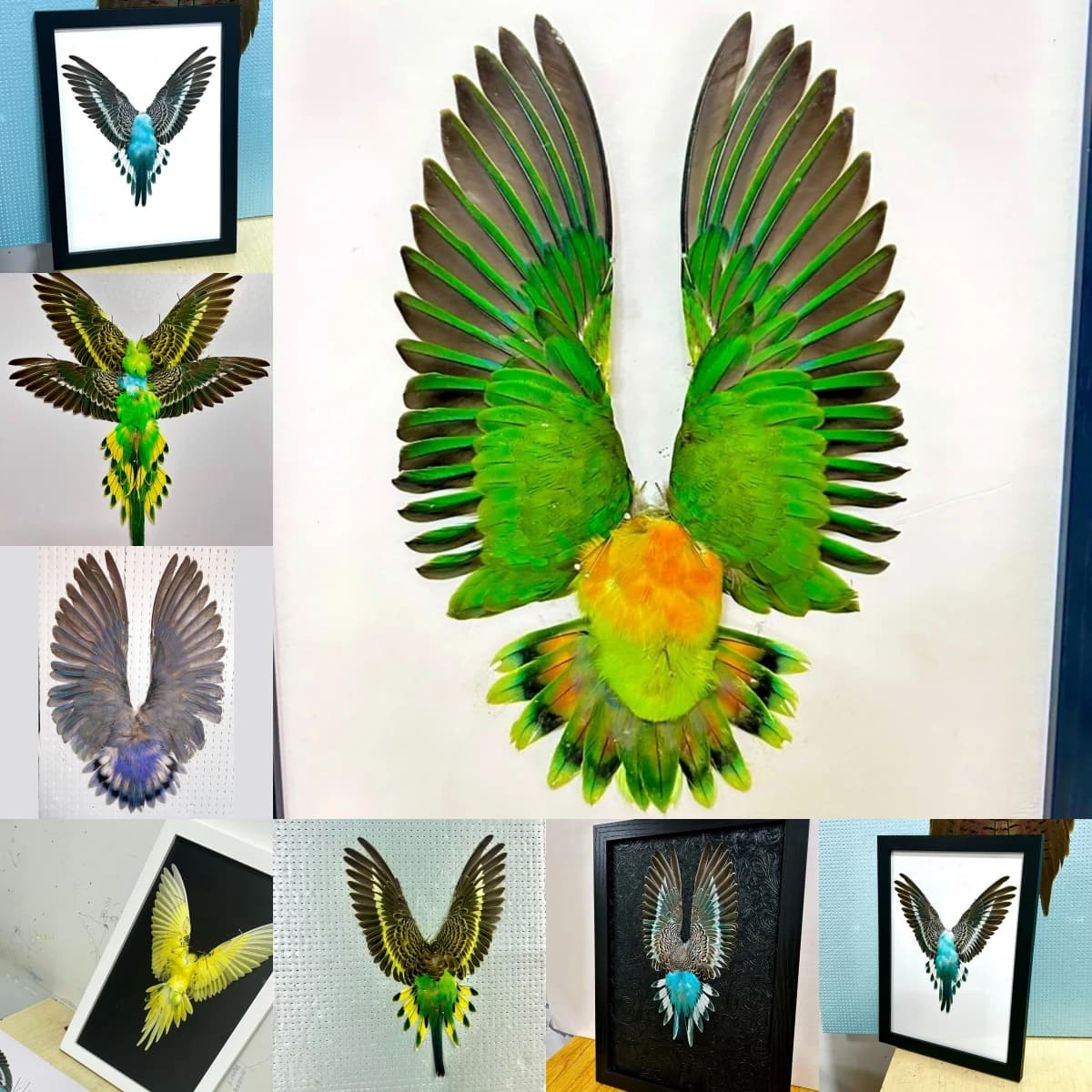 2175 Handmade Bird Feather Decorative painting Specimen Ornaments Creative Christmas Halloween Gifts Room Decor Aesthetic Art