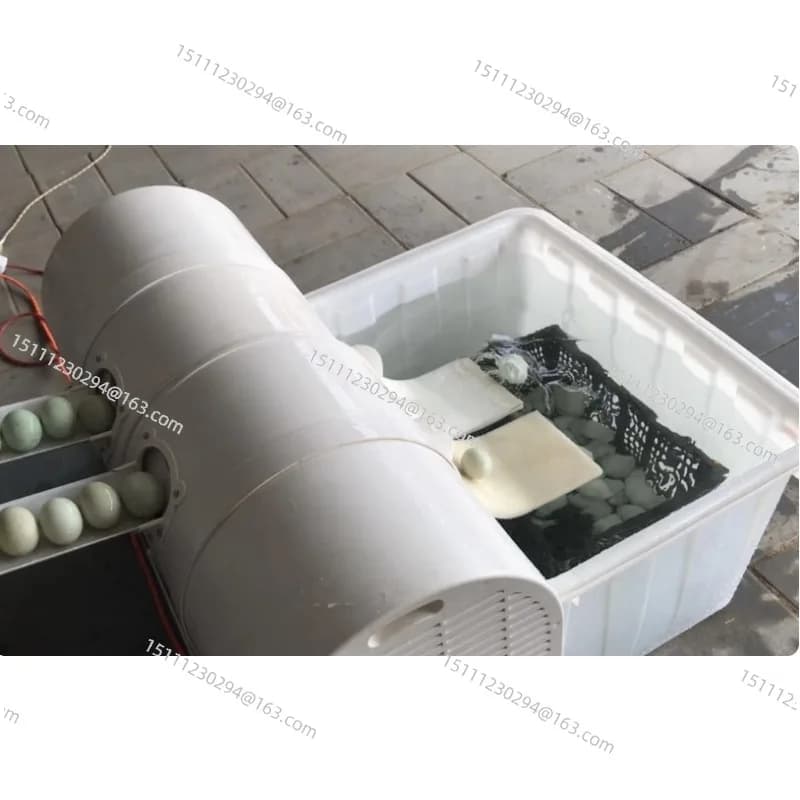 Electric Egg Washing Machine Chicken Duck Goose Egg Washer Egg Cleaner Wash Machine 2400 Pcs/h Poultry Farm Equipment